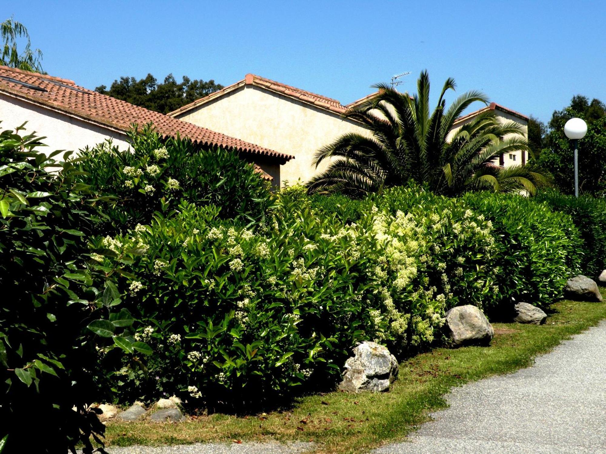 Residence De Tourisme Marina Corsa Ghisonaccia Luaran gambar